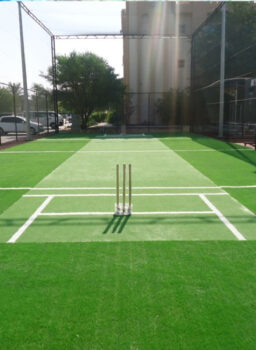 Cricket court